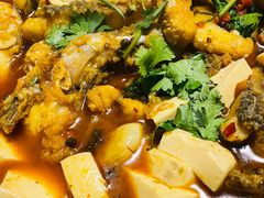 -煲来饱去冷水鱼