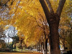 -北京国家会计学院