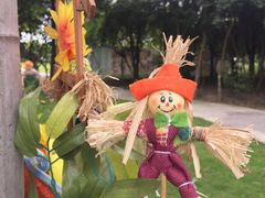 -广东花都香草世界旅游度假区