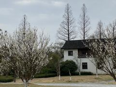 -杭州植物园