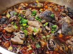 -黑竹香鸡(营和巷店)