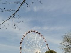 -顾村公园