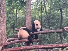 -春熙路步行街