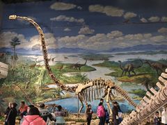 -自贡恐龙博物馆