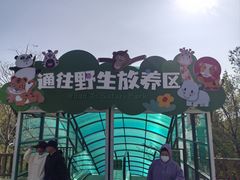 -大连森林动物园