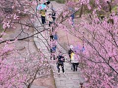 -天台山赤城山景区