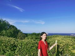 -枸杞岛