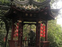 -杭州西湖风景名胜区-三生石