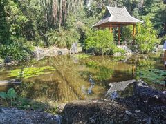 -中国科学院西双版纳热带植物园