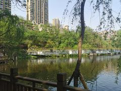 -重庆彩云湖湿地公园