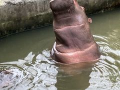 -宁波野生动物园