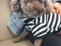 -万博宠物医院·手术·诊疗(未央凤城五路店)