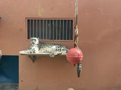 -青藏高原野生动物园