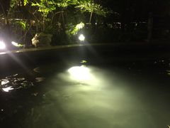-汉拿山温泉度假酒店