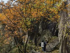 -秦岭终南山世界地质公园翠华山景区