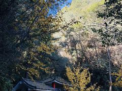 -苍山感通索道