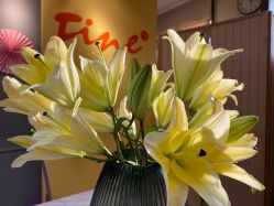 -FineYoga梵音瑜伽·普拉提