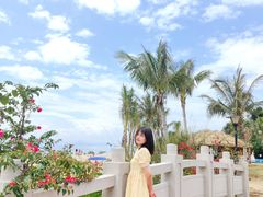 -玫瑰海岸文化旅游度假区