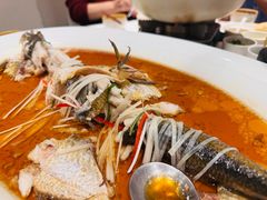 -丹江渔村(望京店)