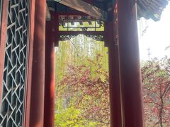 -莲池书院博物馆