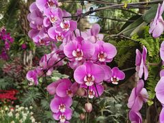 -石家庄市植物园