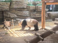 -西霞口神雕山野生动物世界