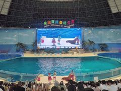 -泉城欧乐堡海洋极地世界