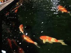 -广发银行(广州广发大厦支行)