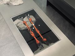 -ARC'TERYX始祖鸟(北京王府中环店)
