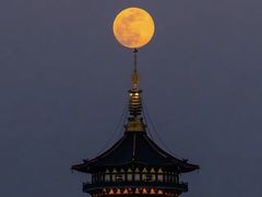 -西湖游船