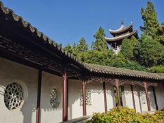 -花洲书院