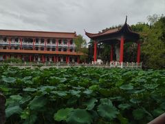 -皇罗禅寺