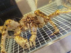 -喜来酌海鲜·饺子(和平一店)
