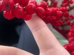 -双季花艺园艺市场(浦东店)