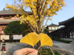 -清凉寺