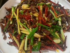 -张氏父子常德肠子馆(红星总店)