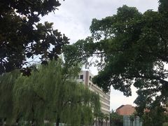 -西南交通大学(九里校区)