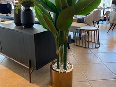 -必胜客(WOW朝阳商业城店)