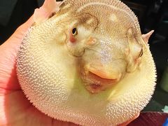 -永安鱼庄·镇江菜(东吴路店)