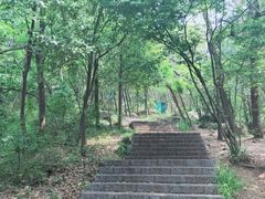 -紫金山山顶公园