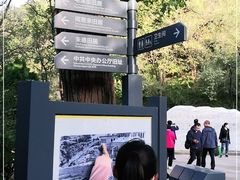 -延安杨家岭革命旧址