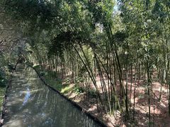 -同里国家湿地公园