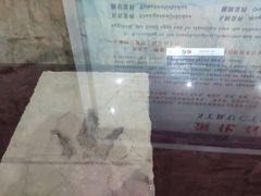 -中国西峡恐龙遗迹园