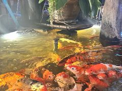 -Daddy Nimman Chiang Mai