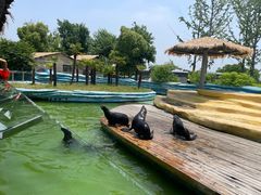 -南京金牛湖风景区