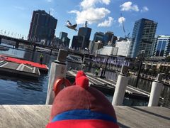 -Pancakes on the rocks(Darling Harbour)