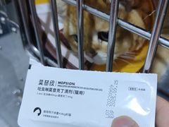 -瑞派名望24h动物医院异宠专科·猫专科·骨科·重症监护分院