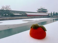 -故宫博物院(故宫)