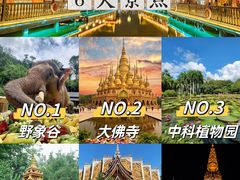 -西双版纳傣族园