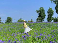 -白鹭湾湿地公园